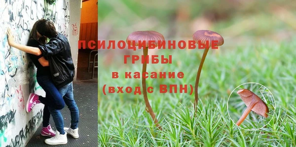 мет Нефтекумск