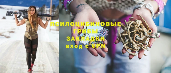 прущие крисы Нея