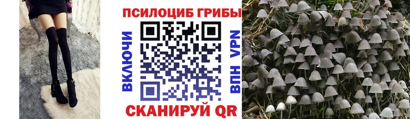Псилоцибиновые грибы ЛСД  Пугачёв 